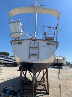 Dufour 29
