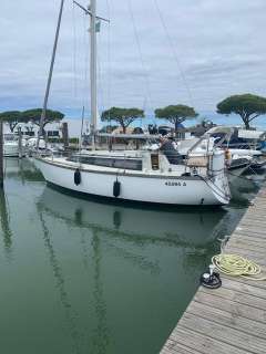 Dufour 29