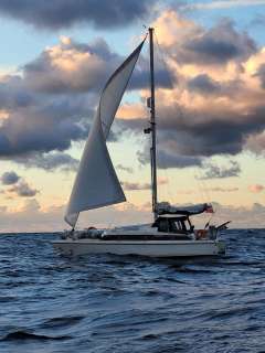 Prout Proute Snowgoose Elite 37 Segelyacht