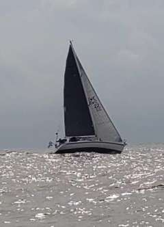 Scanyacht Scanner 392