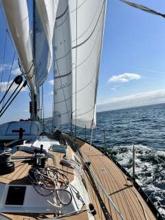 Baltic 43