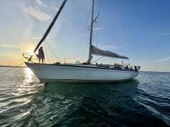 Baltic 43