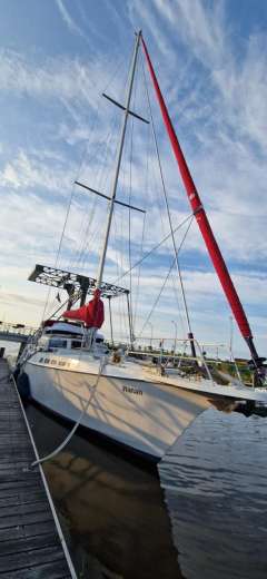 Reinke Decksalonyacht Reinke 15M