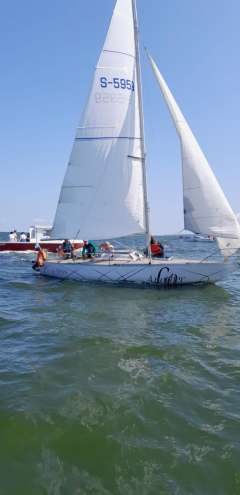 ELVSTROM  one off 1/4T (IOR)