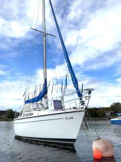 Cobra Yachts UK Cobra 850