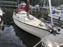 Asmus Hanseat 69 KS