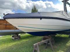 Stingray 558