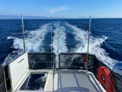 Beneteau Swift Trawler 30 (2017)