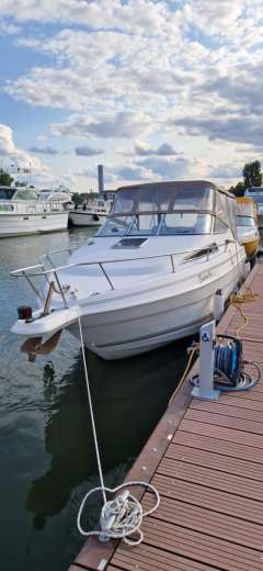Wellcraft Excel 23 E