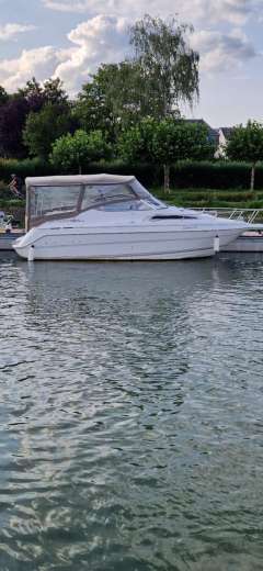 Wellcraft Excel 23 E