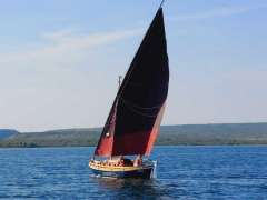 Motorsegler eigenbau