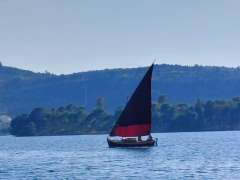 Motorsegler eigenbau