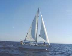 Bruce Roberts 40