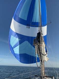 Bavaria 35 Exclusive