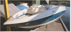 Larson SEI 235 BR Bowrider