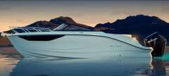 Bayliner C21