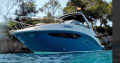 Sea Ray Sundancer 265