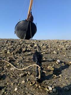 Harlaar aak Aak 9.10 3