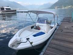 Swiss Cat 19 Rubin