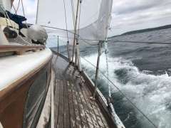 Frans Maas NL Fortunella 34