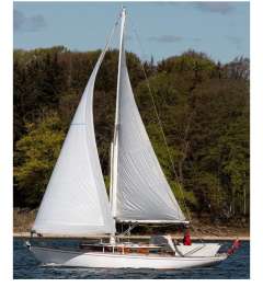 Frans Maas NL Fortunella 34