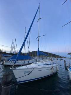 Bavaria 30+