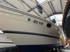 Polar Ibiza 390