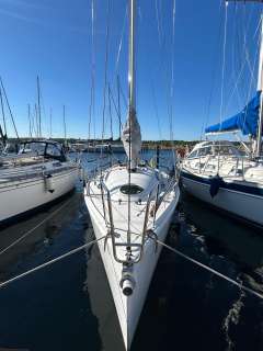 Archambault Grand Surprise