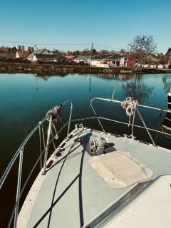 Broom Ocean 37
