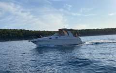 Sea Ray 260 DA Sundancer