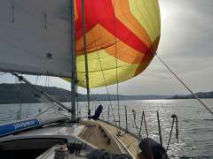 Bianca 320 teakdeck