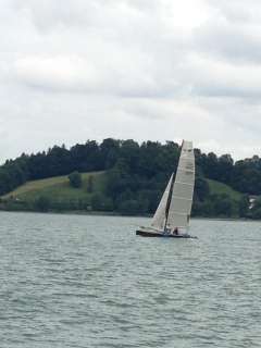 Eagle 20