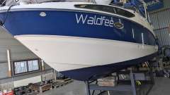 Bayliner 265 SB