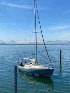 Peter Bruun Spaekhugger F