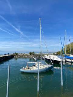 Peter Bruun Spaekhugger F