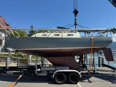 Peter Bruun Spaekhugger F