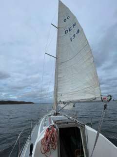 RJ 85 (Rolf Jacobson)