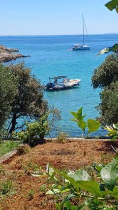 ZAR Formenti ZAR 75 Classic Suite Plus ZAR Formenti ZAR 75 Classic Suite Plus