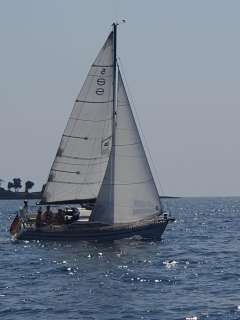 Sunbeam 26.2
