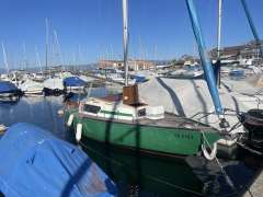 Luthi Black Bird Quillard