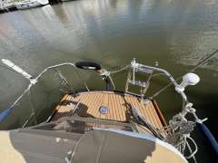 Great Dane 28