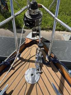 Great Dane 28