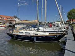 Great Dane 28