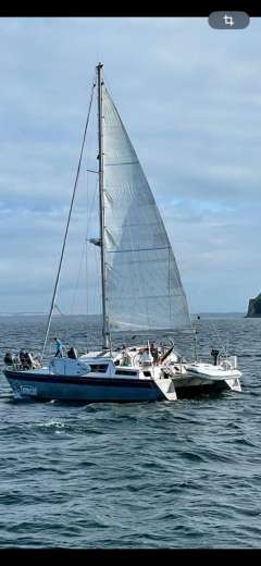 Aluminium-Katamaran 12m / 40ft