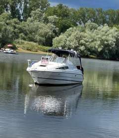 Bayliner 2655 MIT FLEXI TEAK, TRAILER U.V