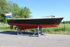 Bellus 580