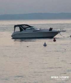 Sea Ray 310 DA Motoryat