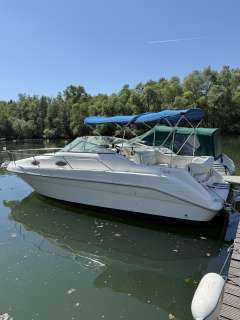 Sea Ray 250DA Sundancer