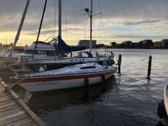 Helmsmann 31