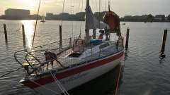 Helmsmann 31